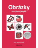 Obrázky ve výuce jazyků (Iva Svatoňová)