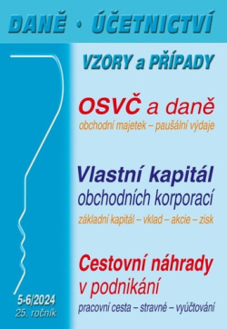 Daně, účetnictví, vzory a případy (Ivan Macháček; Vladimír Hruška; Eva Dandová)