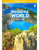 Wonderful World, 2nd Edition Level 6 Lesson Planner (with Class Audio CD, DVD and Teacher's Resource CD-ROM) (Iveta Božoňová)