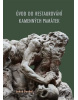 Úvod do restaurování kamenných památek (Michala Šmikmátorová)