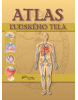 Atlas ľudského tela (autora nemá)