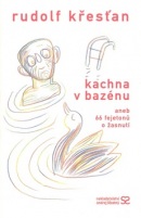 Kachna v bazénu (Rudolf Křesťan)