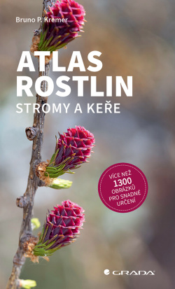 Atlas rostlin - Stromy a keře (Kremer P. Bruno)
