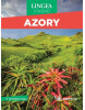 Azory