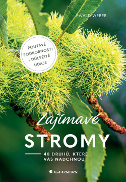 Zajímavé stromy (Weber Ewald)