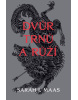 Dvůr trnů a růží (Sarah J. Maas)