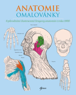 Anatomie omalovánky (Henry Gray; Henry Carter)