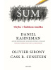 Šum Chyba v ľudskom úsudku (Daniel Kahneman; Olivier Sibony; Cass R. Sunstein)