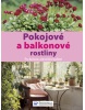 Pokojové a balkonové rostliny