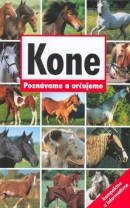 Kone (Kolektív)