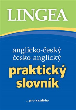 Anglicko-český, česko-anglický praktický slovník (Kolektiv autorů)