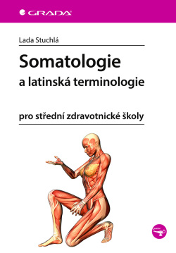 Somatologie a latinská terminologie (Stuchlá Lada)