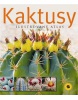 Kaktusy (autor neuvedený)