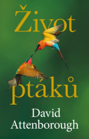 Život ptáků (David Attenborough)