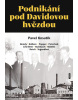 Podnikání pod Davidovou hvězdou (Pavel Kosatík)