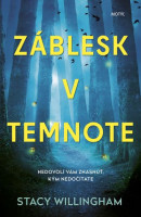 Záblesk v temnote (1. akosť) (Stacy Willingham)