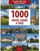 1000 hradů, zámků a tvrzí v Čechách (Vladimír Soukup; Petr David)