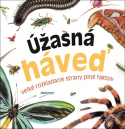 Úžasná háveď (1. akosť)