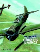 Curtiss P-36 & Hawk 75 (Jiří Chodil)